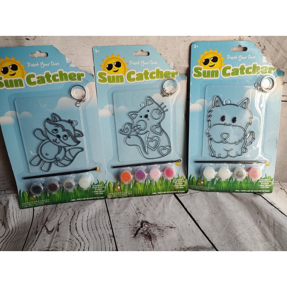 Paint Your Own Sun Catcher key chain Raccoon Cat Dog Great Gift New With Damage
